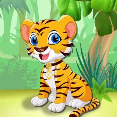 BNBTiger